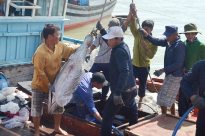 Khai thác hải sản xa bờ: Tiếp tục triển khai chính sách hỗ trợ ngư dân