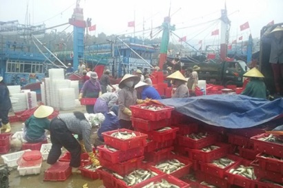 Nghệ An: sản lượng thủy sản 11 tháng năm 2018 tăng 10,88% so với cùng kỳ năm 2017