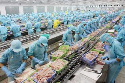 Liên kết trong sản xuất thủy sản chủ yếu là liên kết ngang