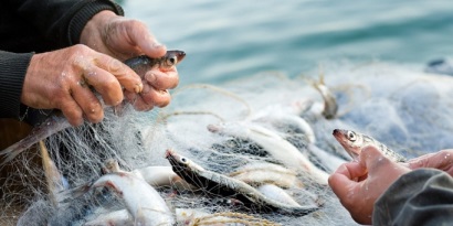 Năm 2019 - dấu mốc quan trọng cho tương lai của ngành thủy sản thế giới