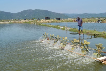 Nuôi thủy sản năm 2019: Cần tuân thủ lịch thời vụ và tăng cường quản lý vùng nuôi