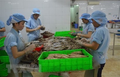 Khắc phục "thẻ vàng" IUU: Phát triển nghề cá theo thông lệ quốc tế