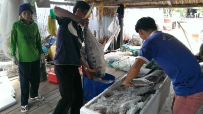 Nỗ lực tái tạo nguồn lợi thủy sản