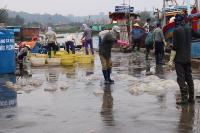 Hải Phòng: Các phương tiện đánh bắt thủy, hải sản đã ghi nhật ký nguồn gốc khai thác