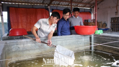 Nam Định: Hải Hậu chủ động con giống cho phát triển nuôi thủy sản