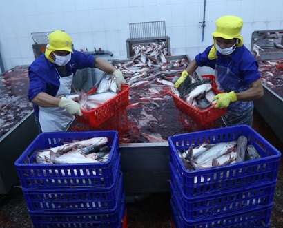 Ngành nông nghiệp năm 2018: Thắng lợi toàn diện