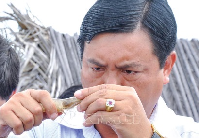 Rộn ràng trên những đầm tôm