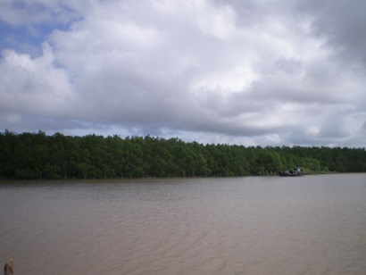 Trà Vinh: Trên 200 hộ ngư dân được hỗ trợ nâng cao giá trị tôm nuôi dựa vào hệ sinh thái rừng ngập mặn