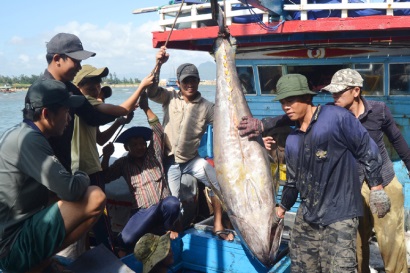 Kỳ vọng mùa biển mới