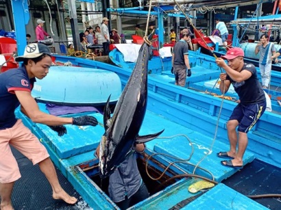 Ngư dân Khánh Hòa có tiền sắm tết nhờ 