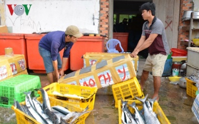 Ngư dân Cà Mau được mùa biển những ngày giáp Tết