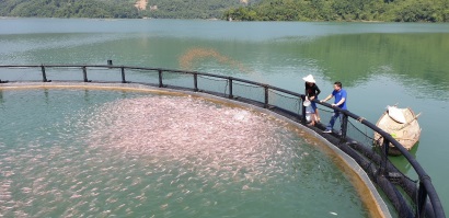 Triển vọng nuôi trồng thủy sản xuất khẩu với sự vào cuộc của doanh nghiệp