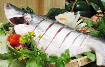 Doanh nghiệp cá tra 2019: Cơ hội đẩy mạnh mặt hàng giá trị gia tăng