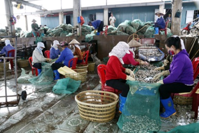 Ninh Bình: Thủy sản tiếp nối một năm thành công