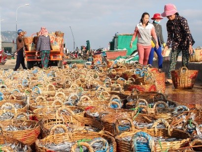 Khánh Hải (Ninh Hải, Ninh Thuận): Ngư dân trúng lộc biển đầu xuân mới