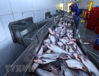Thêm cơ hội cho ngành chế biến, xuất khẩu cá tra của Việt Nam