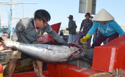 Kỳ vọng những chuyến biển đầu năm