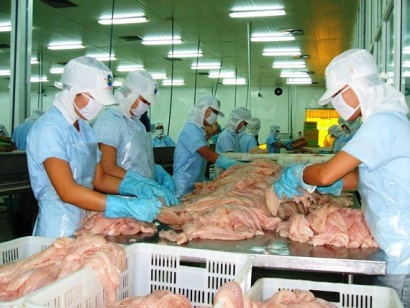 Năm 2019: Xuất khẩu cá tra nỗ lực đạt 2,4 tỷ USD