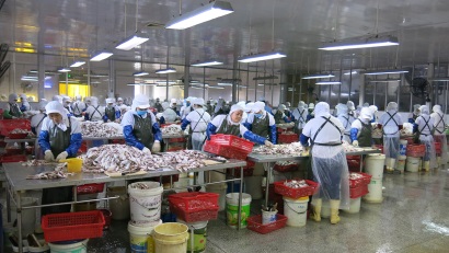 Đà Nẵng ưu tiên hỗ trợ ngư dân và doanh nghiệp chế biến thủy sản