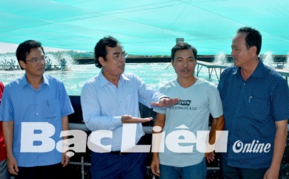 Bạc Liêu: Hướng đến thành lập hợp tác xã nuôi tôm công nghệ cao