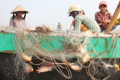 Bình Định: Ngư dân Phù Cát được mùa ghẹ
