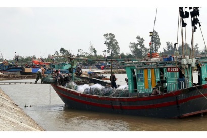 Ngư dân Hải Phòng ra khơi đánh bắt vụ cá Bắc đầu năm 2019: Hứa hẹn vụ thủy sản bội thu