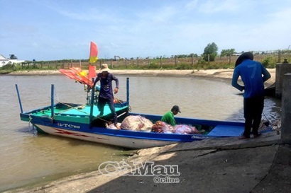 Sản xuất thích ứng với biến đổi khí hậu