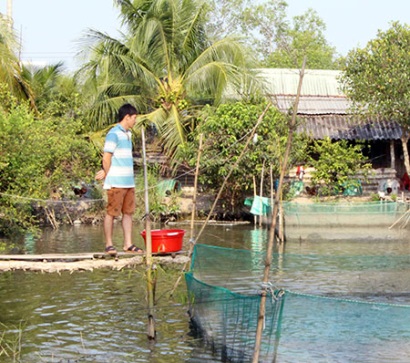 Thị xã Ngã Bảy (Hậu Giang): Gần 18ha nuôi cá tra đạt chuẩn GAP