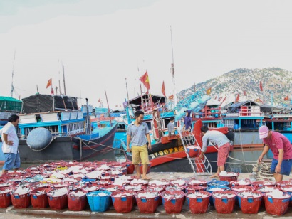 Ninh Thuận: Tín hiệu vui trong khai thác hải sản những tháng đầu năm