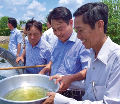 Hiệu quả nuôi tôm hai giai đoạn theo công nghệ Biofloc