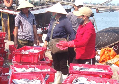 Thừa Thiên Huế: Chuyến biển đầu tiên vụ cá Nam thắng lớn