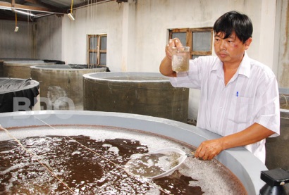 Bình Định: Ðảm bảo an toàn cho vụ nuôi tôm mới: Tăng cường quản lý chất lượng giống