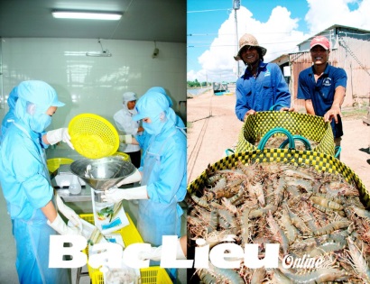 Bạc Liêu: Tăng trưởng kinh tế 2019: Đột phá từ con tôm