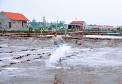Kim Sơn (Ninh Bình): Sẵn sàng cho vụ nuôi tôm mới