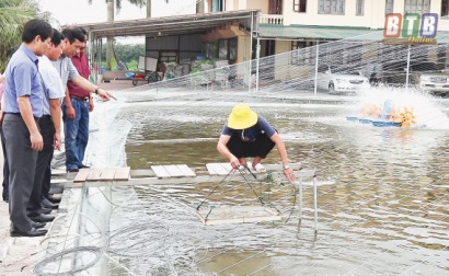 Thái Bình: Doanh nghiệp góp phần nâng cao giá trị sản xuất thủy sản