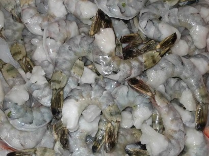 Ngày 5/4/2019, đấu giá lô tôm sú lột PTO tại tỉnh Bạc Liêu