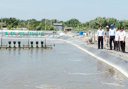 Hướng đi nào cho nuôi tôm công nghệ cao?