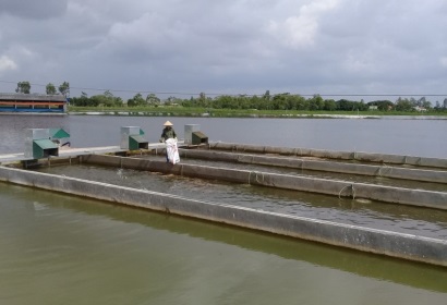 Hà Nam: Mô hình nuôi cá ứng dụng công nghệ ‘sông trong ao’