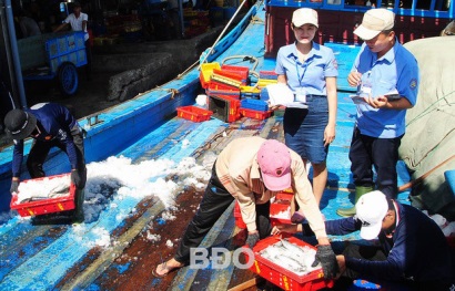 Bình Định: Xác nhận nguồn gốc của nguyên liệu thủy sản: Nghiêm túc, hiệu quả và có trách nhiệm