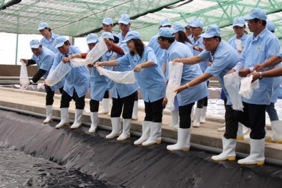 Dấu ấn con tôm trong hành trình 60 năm phát triển của ngành thủy sản