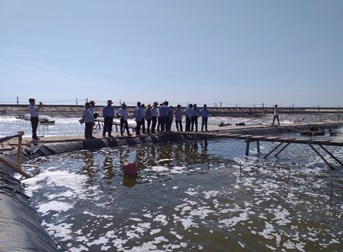 Khuyến nông TP. HCM: Đưa nông dân tham quan và học tập kinh nghiệm nuôi tôm hai giai đoạn ứng dụng công nghệ cao