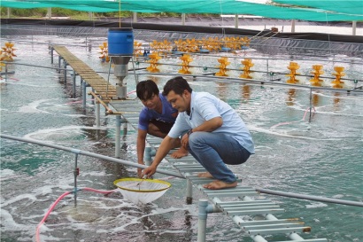Bạc Liêu: Đầu tư hơn 7 tỷ đồng cho nông dân nuôi tôm ứng dụng công nghệ cao