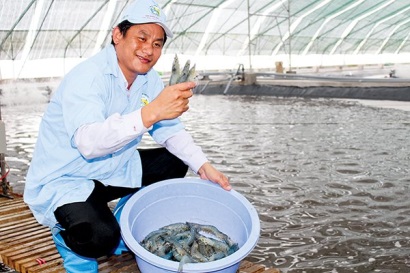 Đừng “tham vọng” khi bất cập chưa được giải quyết