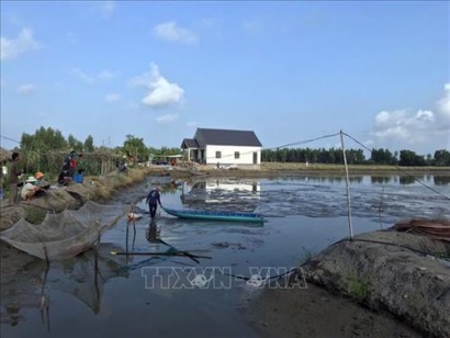 Xuất khẩu tôm hướng tới mục tiêu 4,2 tỷ USD