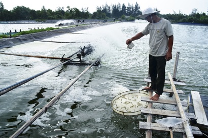 Hội thảo kĩ thuật về quy trình nuôi tôm siêu thâm canh 2 giai đoạn