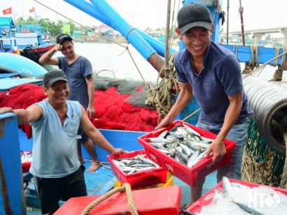 Ninh Thuận: Bước khởi động mới cho vụ cá Nam