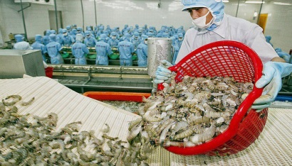 Đón thuế bán phá giá tôm 0%, cổ phiếu thủy sản đồng loạt tăng