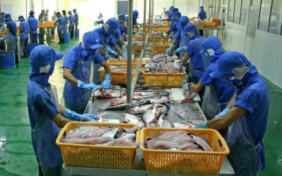 Thủy sản Cửu Long An Giang (ACL): Quý 1/2019 lãi 54 tỷ đồng cao gấp 9 lần cùng kỳ