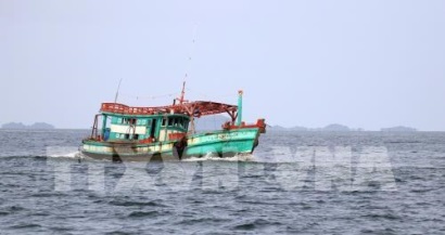 Bà Rịa-Vũng Tàu sớm lắp đặt giám sát hành trình tàu cá