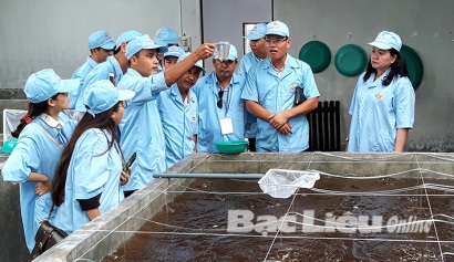 Một số quy định hướng dẫn thi hành Luật Thủy sản